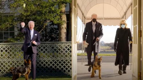 El presidente disfruta del tiempo que pasa con su mascota. Foto: captura de Twitter El presidente disfruta del tiempo que pasa con su mascota. Foto: captura de Twitter