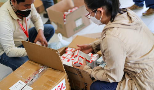 Se identificaron 230 tabletas de medicamentos con sello del Estado Peruano. Foto: Áncash Noticias/Referencial Se identificaron 230 tabletas de medicamentos con sello del Estado Peruano. Foto: Áncash Noticias/Referencial