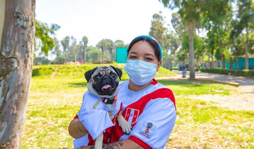 Los perritos podrán pasar por consultas veterinarias y desparasitación gratuita. Foto: Serpar Los perritos podrán pasar por consultas veterinarias y desparasitación gratuita. Foto: Serpar