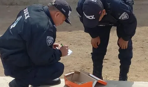 Especialistas de UDEX neutralizaron carga explosiva. Foto: PNP