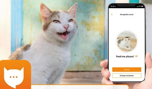Esta app capta los maullidos de los gatos para interpretarlos en nuestro idioma. Foto: MeowTalk Esta app capta los maullidos de los gatos para interpretarlos en nuestro idioma. Foto: MeowTalk
