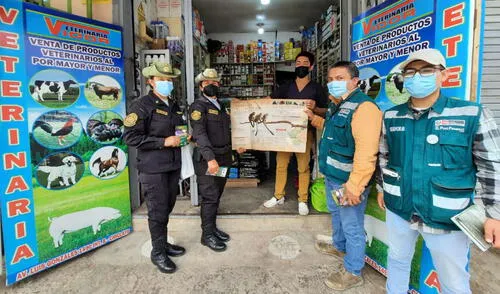 Los especímenes fueron abandonados en basurales o parques, trasladados en buses, entre otros. Foto: Serfor