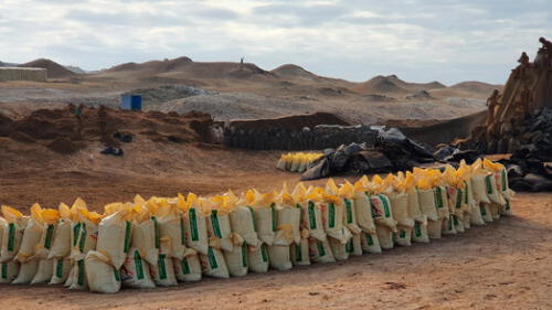 Guano de isla es entregado a los productores de San Ignacio en Cajamarca. Foto: Agro Rural. Guano de isla es entregado a los productores de San Ignacio en Cajamarca. Foto: Agro Rural.