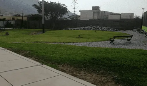 El municipio de La Molina licitó el servicio de mantenimiento de áreas verdes. Foto: Municipalidad de La Molina