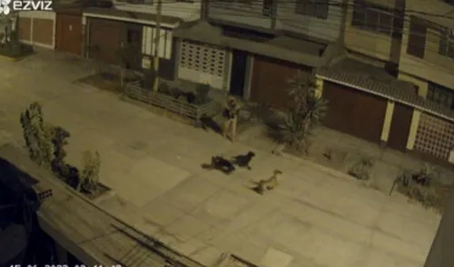 Vecinos piden mayor seguridad en la zona. Foto: captura de cámaras de seguridad/difusión