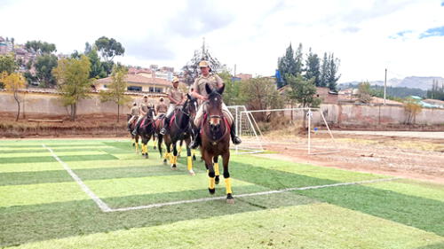 Equino cayó al suelo, pero tanto él como su jinete se repusieron de inmediato. Foto: URPI/Alexander Flores