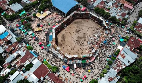 El toro había escapado de la plaza tras derrumbe. Foto: AFP