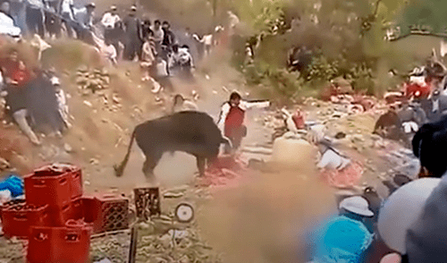 Mujer se encuentra internada en hospital mientras que el menor solo presenta heridas leves. Foto: captura de América TV
