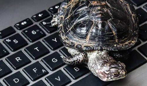 Esta función pasa desapercibida para la mayoría de usuarios, pero puede hacer magia con la velocidad de tu laptop. Foto: HP