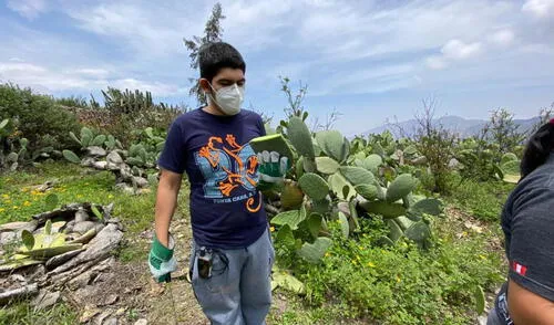 El proceso para obtener biocuero inicia en el centro poblado Santiago de Tuna, donde se acopia la materia prima. Foto: Produce