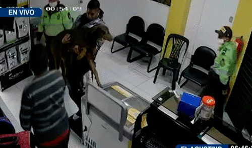 Familia exige que la PNP se haga responsable de los gastos del can. Foto: captura de Panamericana