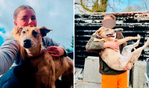 Uno de ellos tuvo quemaduras tan graves que tuvieron que dormirlo. Foto: dailystar/Emma Frowen