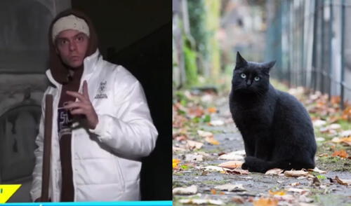 Ignacio Baladán se aterrorizó cuando un gato apareció en el Presbítero Maestro. Foto: composición LR/América TV/Oliver Gee