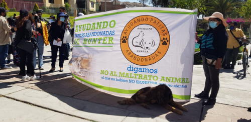 Vecinos de la zona se manifestaron en contra de la desaparición de perros. Foto: Alexis Choque/URPI
