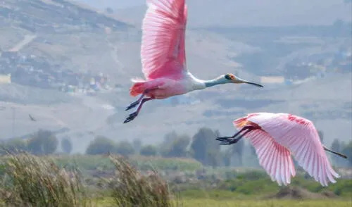 Alertan poco personal del Sernanp. Foto: Luis Gonzalo Cano