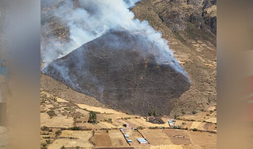 Incendio forestal se activó esta mañana en el distrito de San Salvador. Foto: PNP Incendio forestal se activó esta mañana en el distrito de San Salvador. Foto: PNP