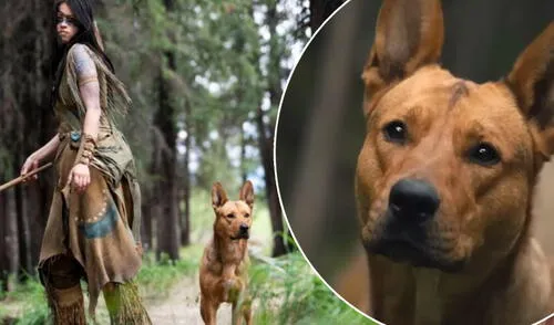 "Depredador: la presa" es la nueva película de la franquicia que ha gustado a los fans. Foto: composición/Star Plus "Depredador: la presa" es la nueva película de la franquicia que ha gustado a los fans. Foto: composición/Star Plus