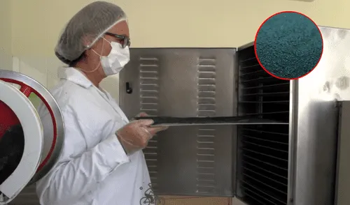 Proyecto fue cofinanciado por programa del Ministerio de la Producción. Foto: composición LR/ProInnóvate Proyecto fue cofinanciado por programa del Ministerio de la Producción. Foto: composición LR/ProInnóvate