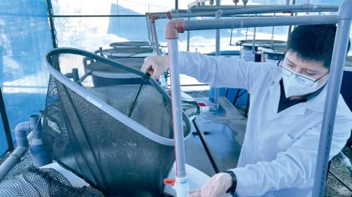 Emprendimiento. Estudiantes de UCSM fabrican harina. Foto: La República Emprendimiento. Estudiantes de UCSM fabrican harina. Foto: La República