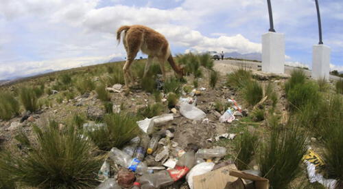 Personas no respetan área de reserva. Foto: Sernanp
