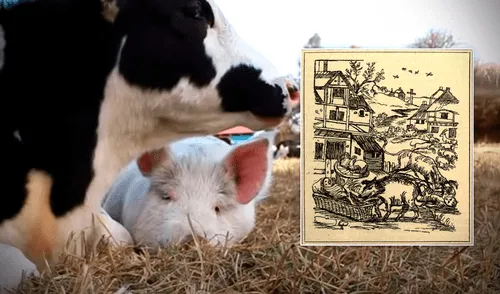 Juicios a animales. Composición: Gerson Cardoso/Santuario Dignidad/Libro "The criminal prosecution and capital punishment of animals"