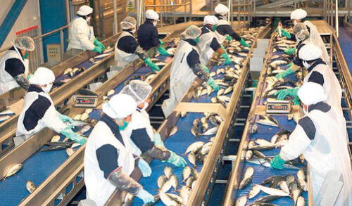 Mano de obra barata. Expertos coinciden en que la tercerización laboral debe ser usada de forma excepcional y no de forma indiscriminada. Foto: difusión Mano de obra barata. Expertos coinciden en que la tercerización laboral debe ser usada de forma excepcional y no de forma indiscriminada. Foto: difusión