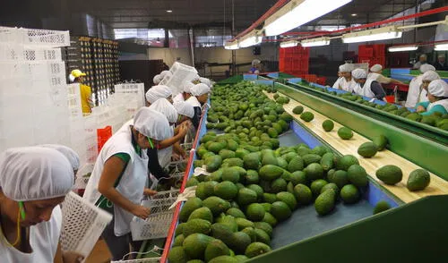 Tercera etapa del PECh traería mil millones de dólares anuales en divisas. Foto: La República Tercera etapa del PECh traería mil millones de dólares anuales en divisas. Foto: La República