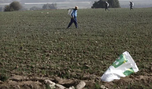 El valor de la urea ha retomado un nuevo impulso en las últimas semanas debido al encarecimiento de su principal insumo, el gas natural, en Europa. Foto: La República