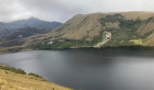 En estos ecosistemas, por encima de los 3.000 metros sobre el nivel del mar, vive diversas especies de flora y fauna. Foto: El Regional