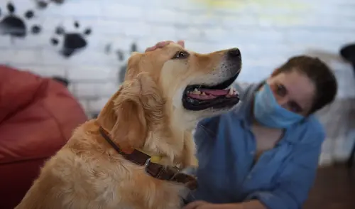 Los investigadores recolectaron muestras de sudor y aliento de los participantes antes y después de resolver un problema matemático difícil. Foto: AFP Los investigadores recolectaron muestras de sudor y aliento de los participantes antes y después de resolver un problema matemático difícil. Foto: AFP