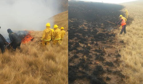 Incendio forestal en Ccatcca, Quispicanchi. Foto: Codisec