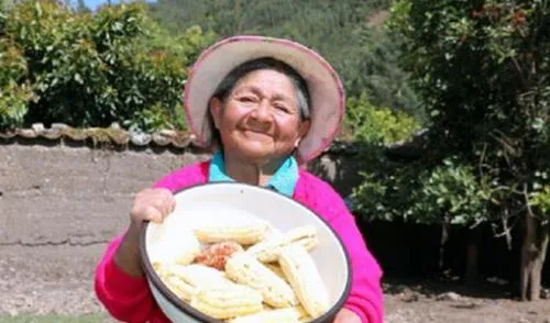 Tiene cerca de 40.000 seguidores en su canal de YouTube y 1 millón 200.000 seguidores en Facebook. Foto: Pensión 65