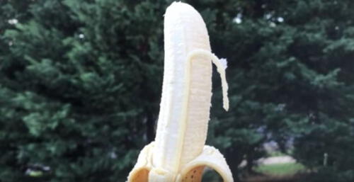 Los hilillos del plátano se llaman paquetes de floema y, según algunos estudios, también son nutritivos como el fruto mismo. Foto: Youtube GeoBeats News