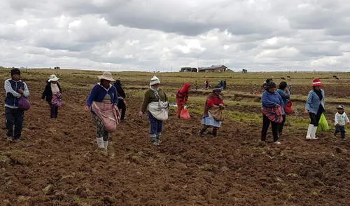 El Fertiabono es un subsidio para la compra de fertilizantes. Foto: Andina El Fertiabono es un subsidio para la compra de fertilizantes. Foto: Andina