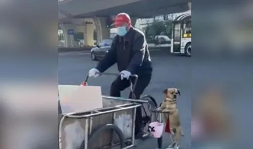 Miles de usuarios quedaron cautivados al ver esta escena. Foto: captura de TikTok/@heartdance191 Miles de usuarios quedaron cautivados al ver esta escena. Foto: captura de TikTok/@heartdance191