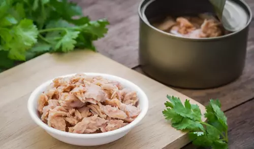 La lata de atún en conserva es una fiel aliada de la rutina alimentaria. Foto: iStock