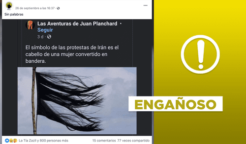 La imagen de una bandera hecha con cabello no está relacionada con las actuales protestas en Irán. Foto: composición LR/Facebook.