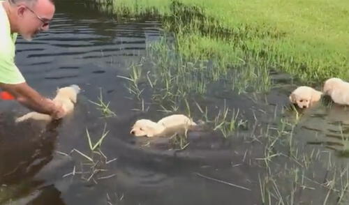 Este video tiene más de 1,2 millones de reproducciones en Twitter. Foto: captura de Twitter /@____B_S____