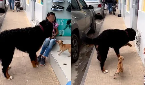 Este hecho sucedió en Colombia. Foto: composición LR / Instagram / @fito_berner15