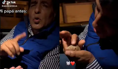 Este hecho sucedió en Perú. Foto: composición LR/captura de TikTok/@alondrahtiktok Este hecho sucedió en Perú. Foto: composición LR/captura de TikTok/@alondrahtiktok