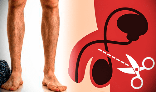 Aunque las cifras históricas son bajas, actualmente más hombres jóvenes en EE. UU. deciden optar por la vasectomía. Foto: composición LR/ Pinterest/ Shutterstock