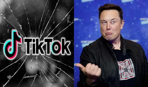 Elon Musk pagó 44.000 millones de dólares por Twitter. Foto: Vice / Happy Mag