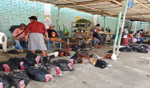 Comerciantes advierten disminución de ventas de aves de corral. Foto: Almendra Ruesta