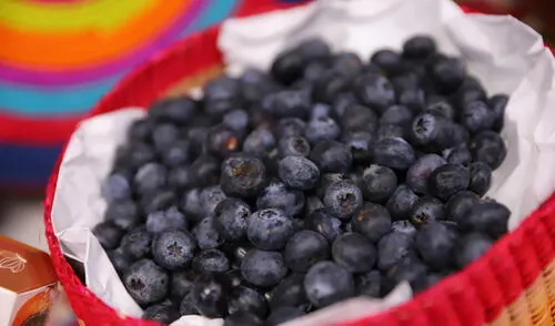 Arándanos, el fruto bandera del Perú. Foto: Mincetur