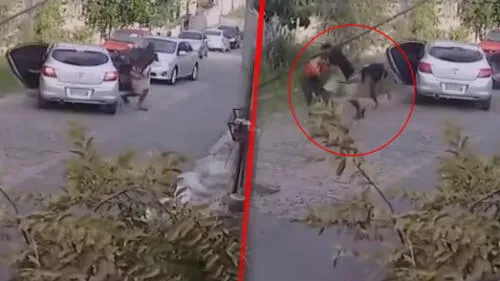 El hecho ocurrió hace tres años, pero ha vuelto a hacerse viral en redes sociales. Foto: captura Youtube