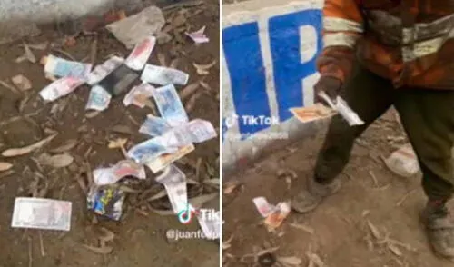 Miles de usuarios quedaron impresionados al ver estas imágenes. Foto: composición LR/TikTok TikTok, viral
