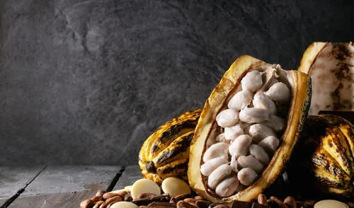 Exportación de cacao orgánico y sus derivados llegó a US$65,5 millones y cayó -16% en el 2022