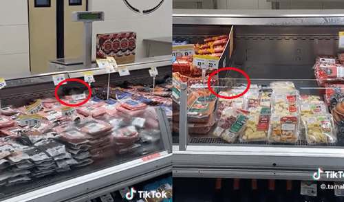 ratas en metro de chorrillos