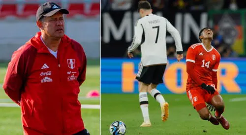 Juan Reynoso, Perú vs Alemania