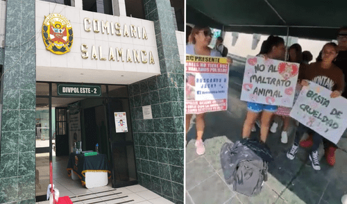 maltrato animal en ate